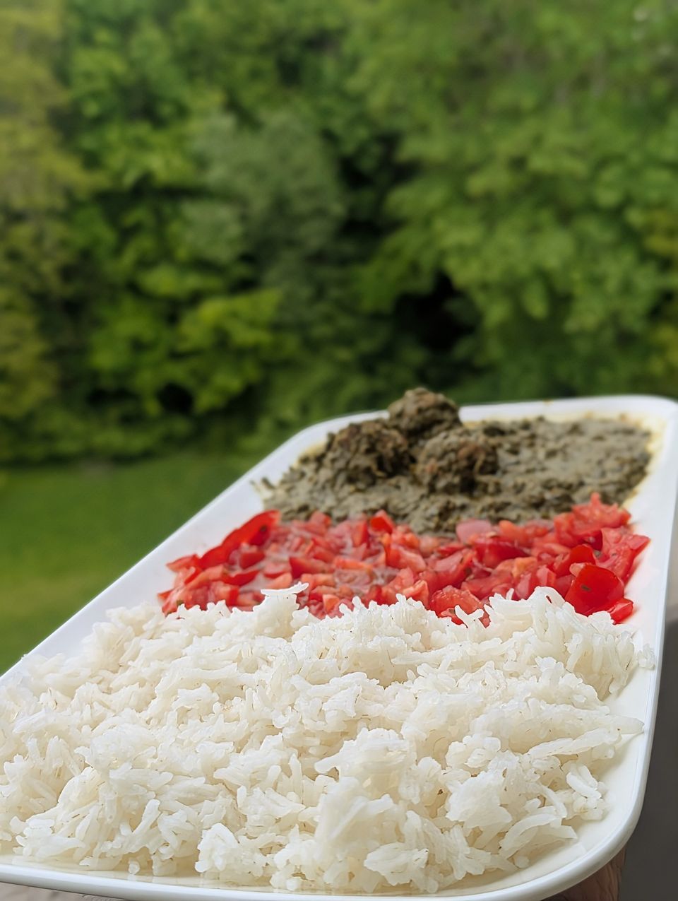 Ravitoto mit Reis und Tomaten, im Garten fotografiert